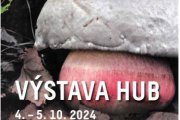 Výstava hub.jpg